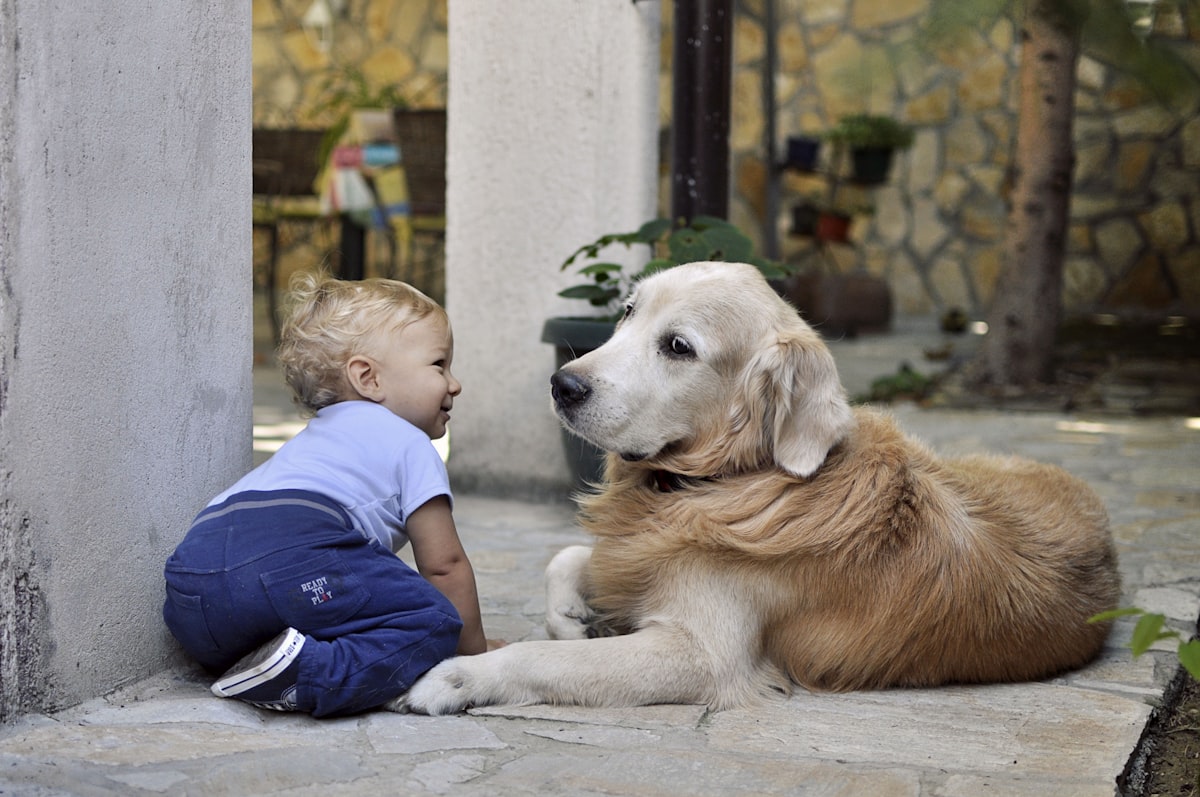 Meeting siblings or pets